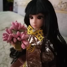 Пополнение кукольной семьи