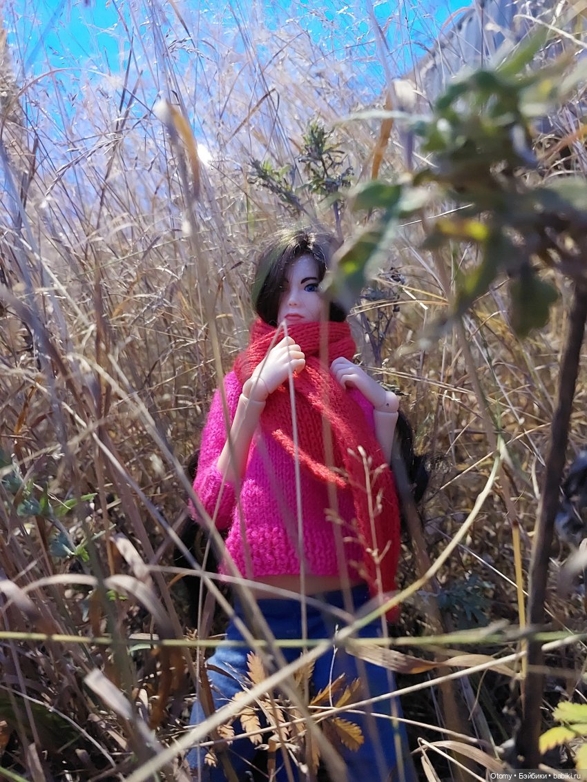 Осенняя Эва — Разные шарнирные куклы (не БЖД): редкие