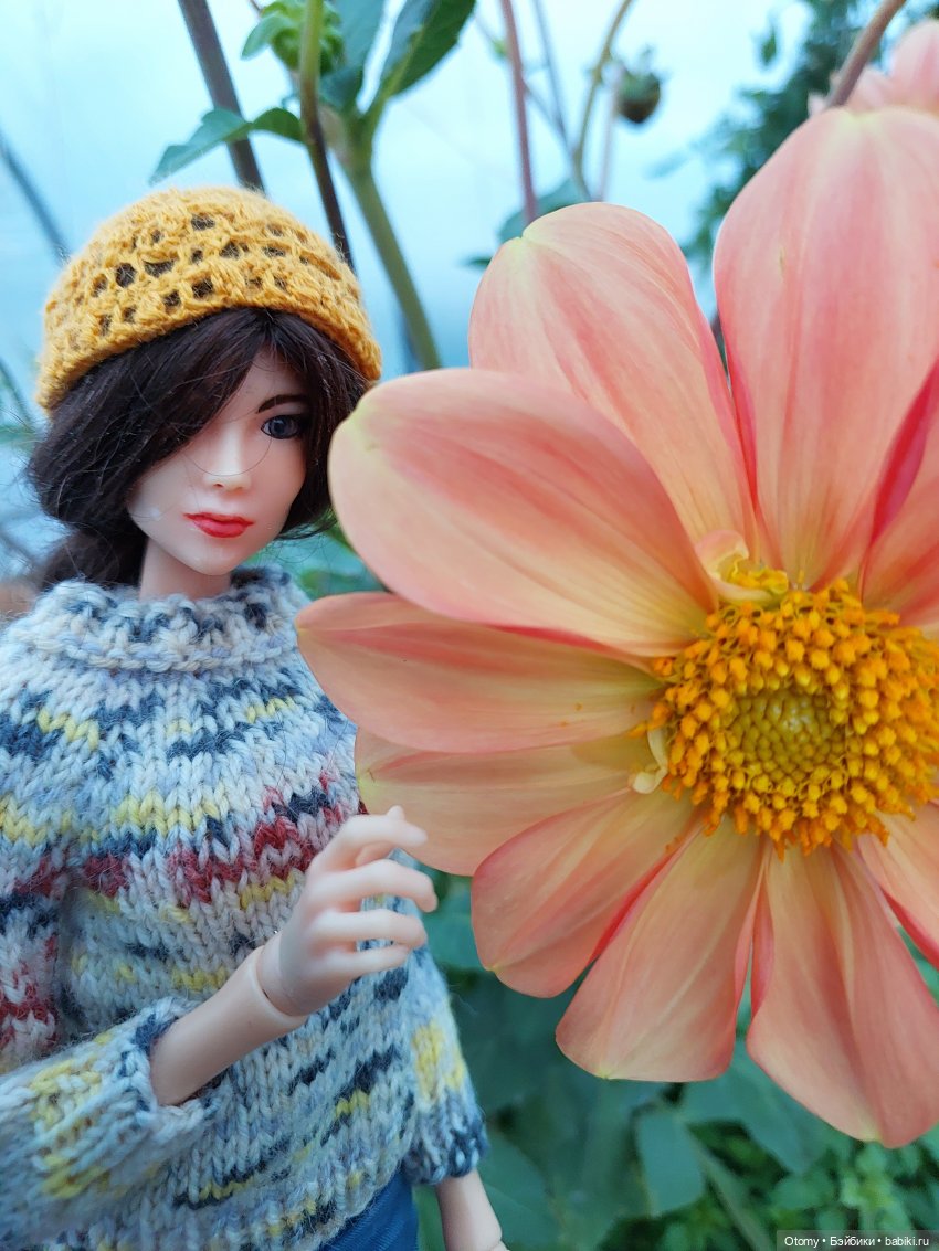 Осенняя Эва — Разные шарнирные куклы (не БЖД): редкие