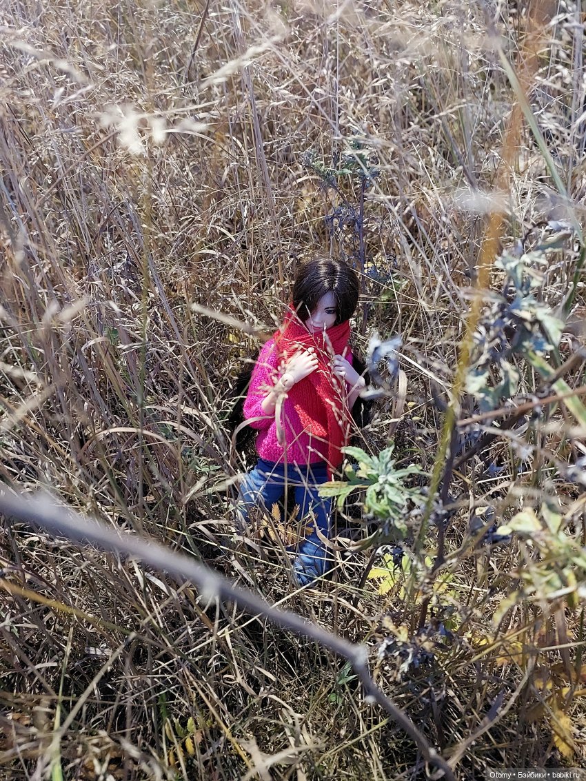 Осенняя Эва — Разные шарнирные куклы (не БЖД): редкие