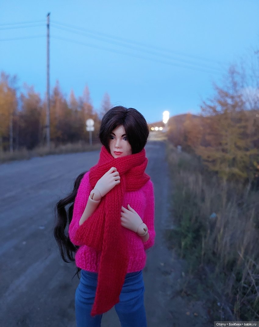 Осенняя Эва — Разные шарнирные куклы (не БЖД): редкие (фото 8)