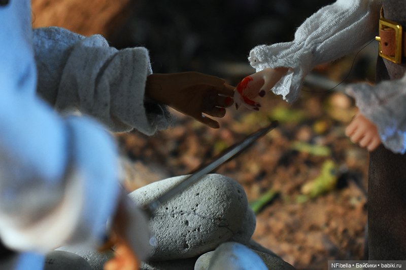 ВЕЧНАЯ ЗЕМЛЯ. 7. Ансгар — Кукольные фотоистории и сериалы: комиксы (фото 10)