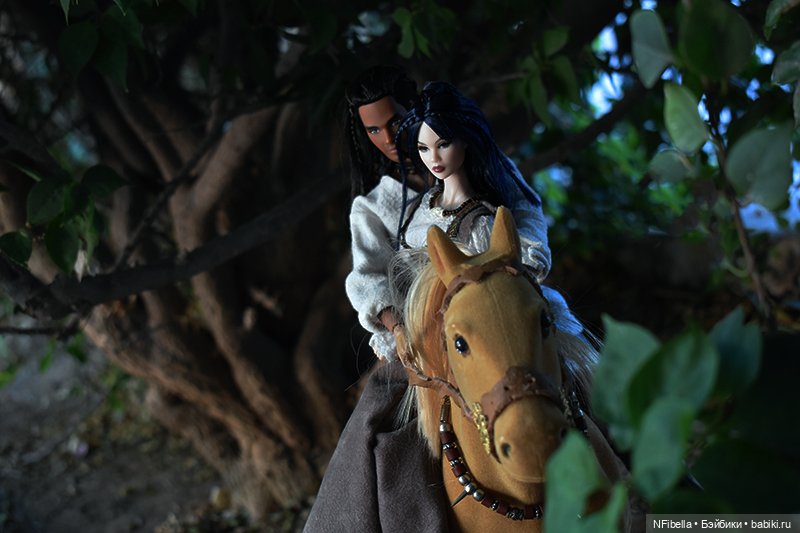 ВЕЧНАЯ ЗЕМЛЯ. 7. Ансгар — Кукольные фотоистории и сериалы: комиксы