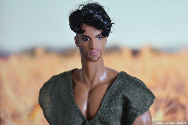 ВЕЧНАЯ ЗЕМЛЯ. 8. Асвальд — Кукольные фотоистории и сериалы: комиксы (фото 3)