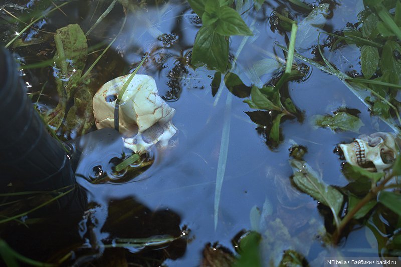 ВЕЧНАЯ ЗЕМЛЯ. 12. ТОПИ АЙЛИД