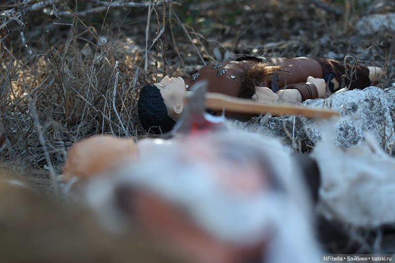 ВЕЧНАЯ ЗЕМЛЯ. 25. Битва на Топях