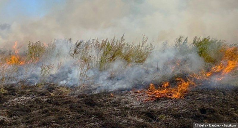 ВЕЧНАЯ ЗЕМЛЯ. 25. Битва на Топях