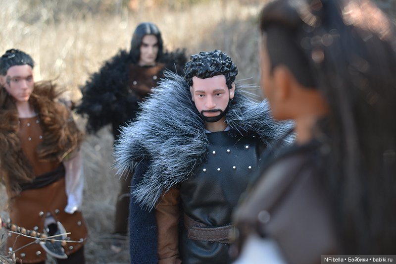 ВЕЧНАЯ ЗЕМЛЯ. 25. Битва на Топях (фото 7)