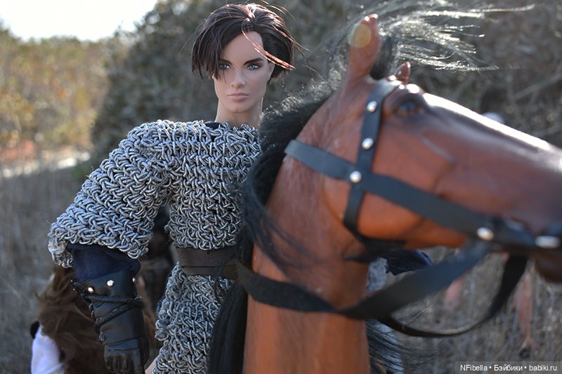 ВЕЧНАЯ ЗЕМЛЯ. 25. Битва на Топях