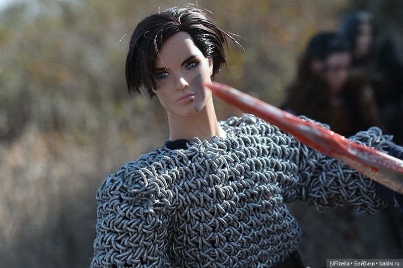 ВЕЧНАЯ ЗЕМЛЯ. 25. Битва на Топях