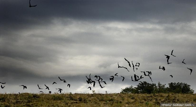 ВЕЧНАЯ ЗЕМЛЯ. 45. Нападение