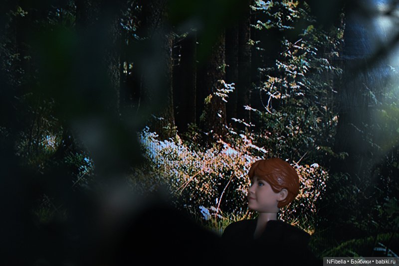 ВЕЧНАЯ ЗЕМЛЯ. 62. Дьюи — Кукольные фотоистории и сериалы: комиксы (фото 6)