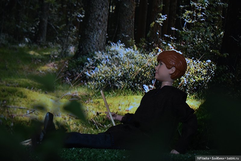 ВЕЧНАЯ ЗЕМЛЯ. 62. Дьюи — Кукольные фотоистории и сериалы: комиксы