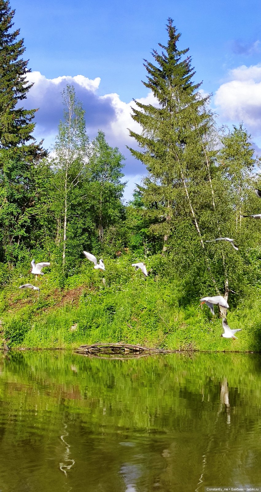 Прогулка с Лили — Куклы Барби