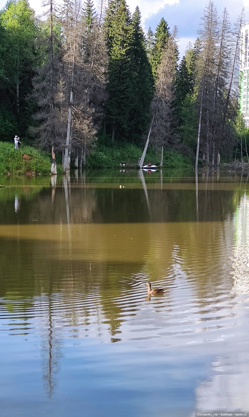Прогулка с Лили — Куклы Барби