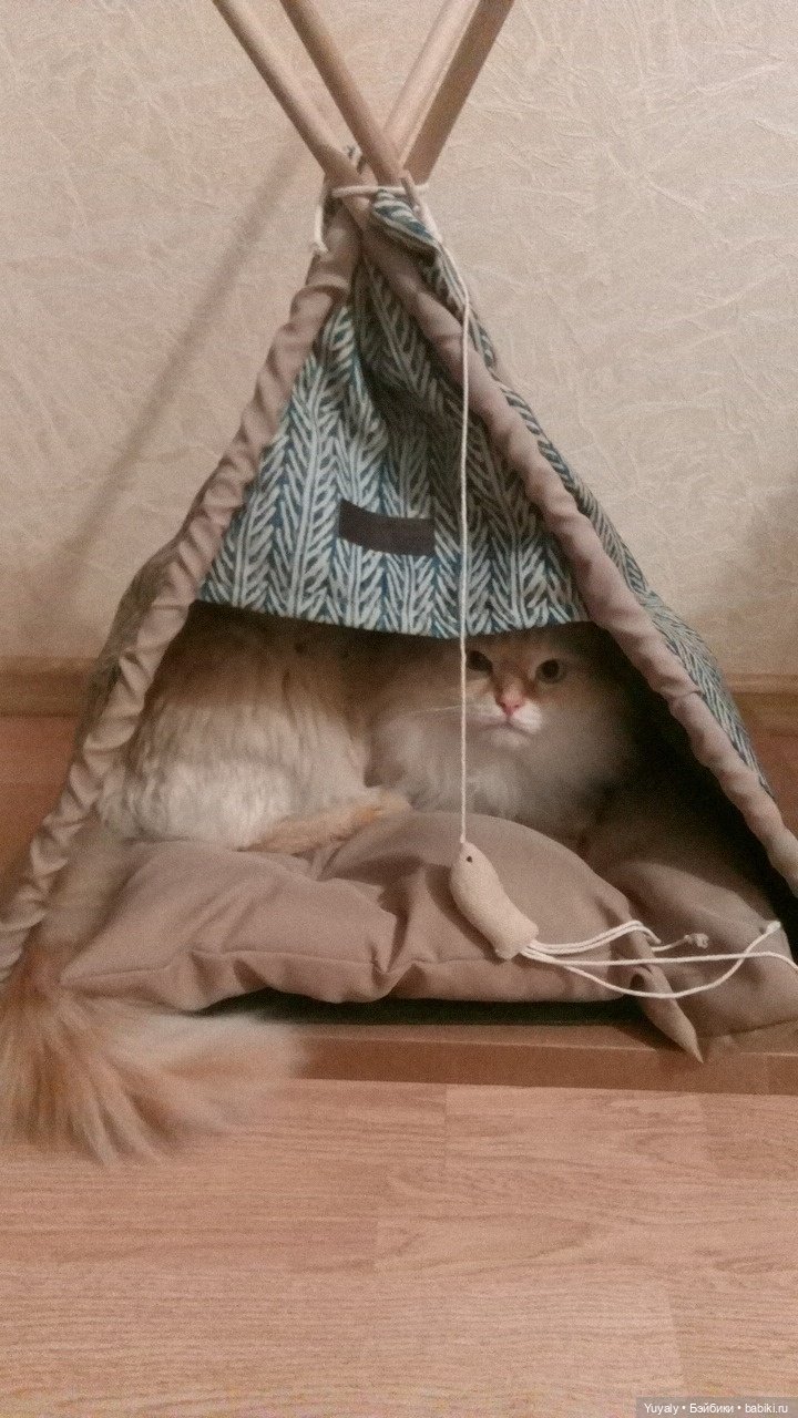 Моя мания Barbie Fairytopia Wonder Fairy часть 2 | Бэйбики Моя мания Barbie Fairytopia Wonder Fairy часть 2