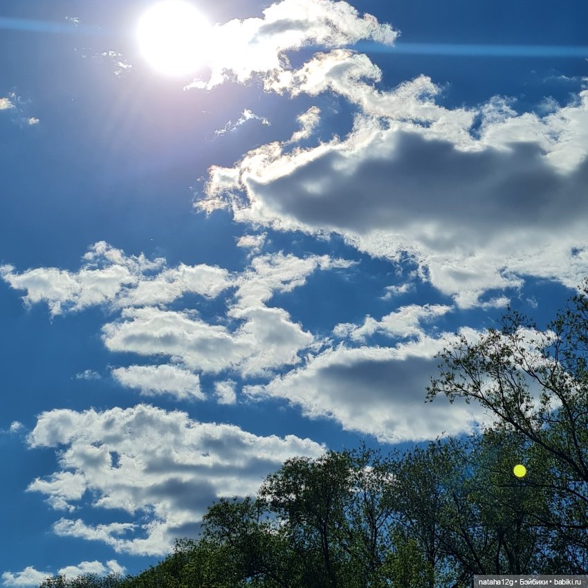 Прогулка к Ростокинскому акведуку (фото 2)