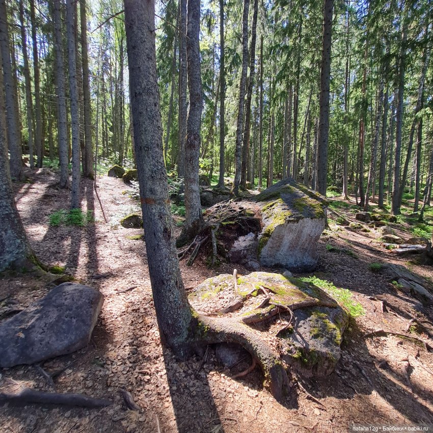 Путешествие Чонгука. Часть 5 "Выборг"