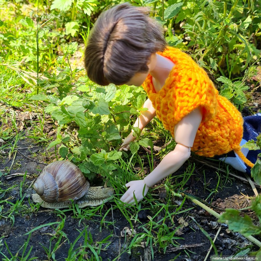 Гуляем с Чимином. Можайск