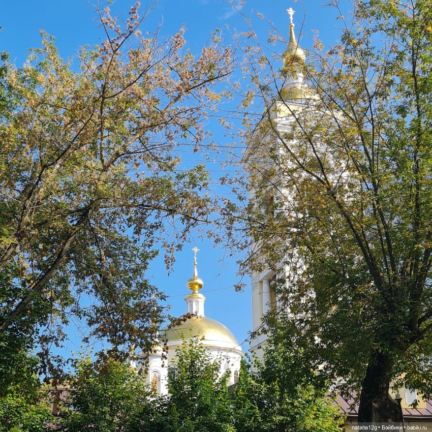 А мы с рыжиком в Подольске (фото 10)