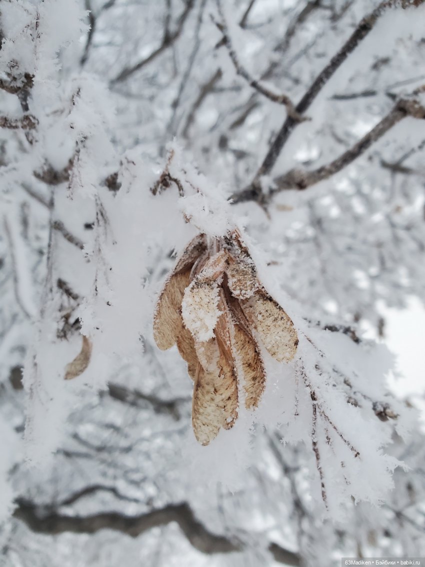 Снежная Королева — Игровые куклы разных производителей (Разное): редкие бренды (фото 4)