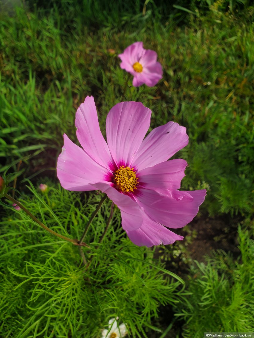 Солнечные выходные — Куклы Rainbow High (Рейнбоу Хай (фото 4)