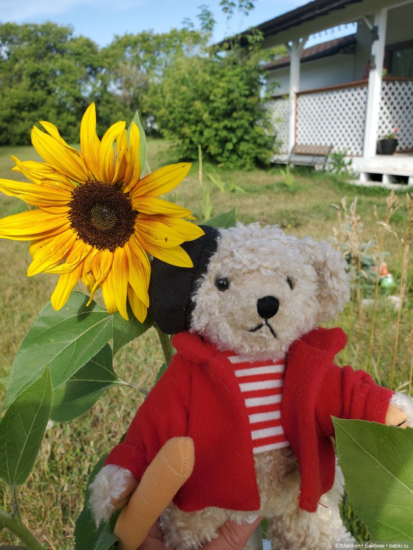 Месье Дюпон — Плюшевые мишки и игрушки (Teddy Bear): винтаж (фото 2)