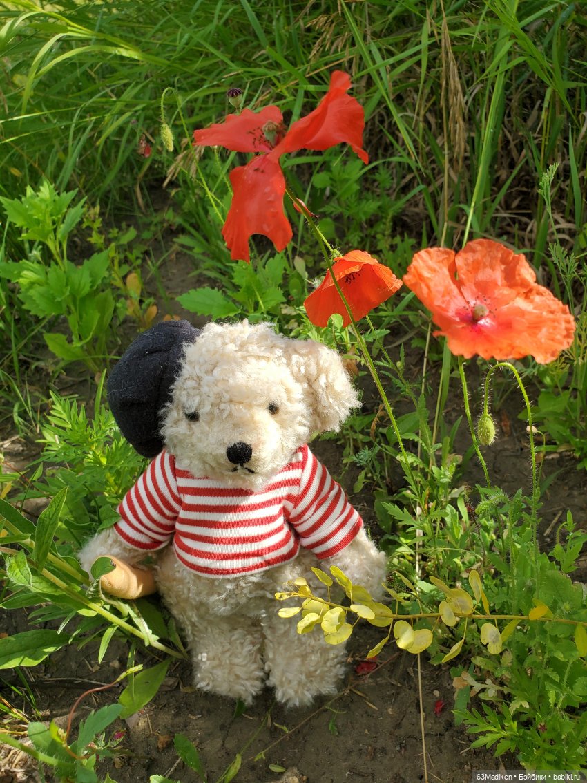 Месье Дюпон — Плюшевые мишки и игрушки (Teddy Bear): винтаж (фото 5)