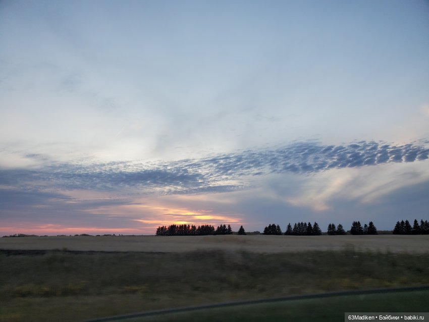 Синяя птица — Куклы Rainbow High (Рейнбоу Хай (фото 2)