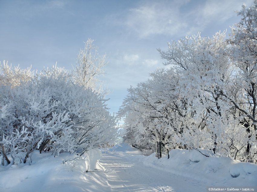 Поедем, красотка, кататься (фото 2)