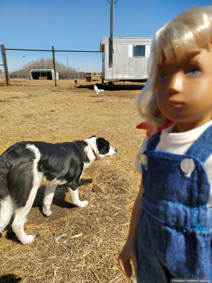 Дочка фермеров — Куклы Sasha Morgenthaler (Саша Моргенталер): Trendon (фото 4)