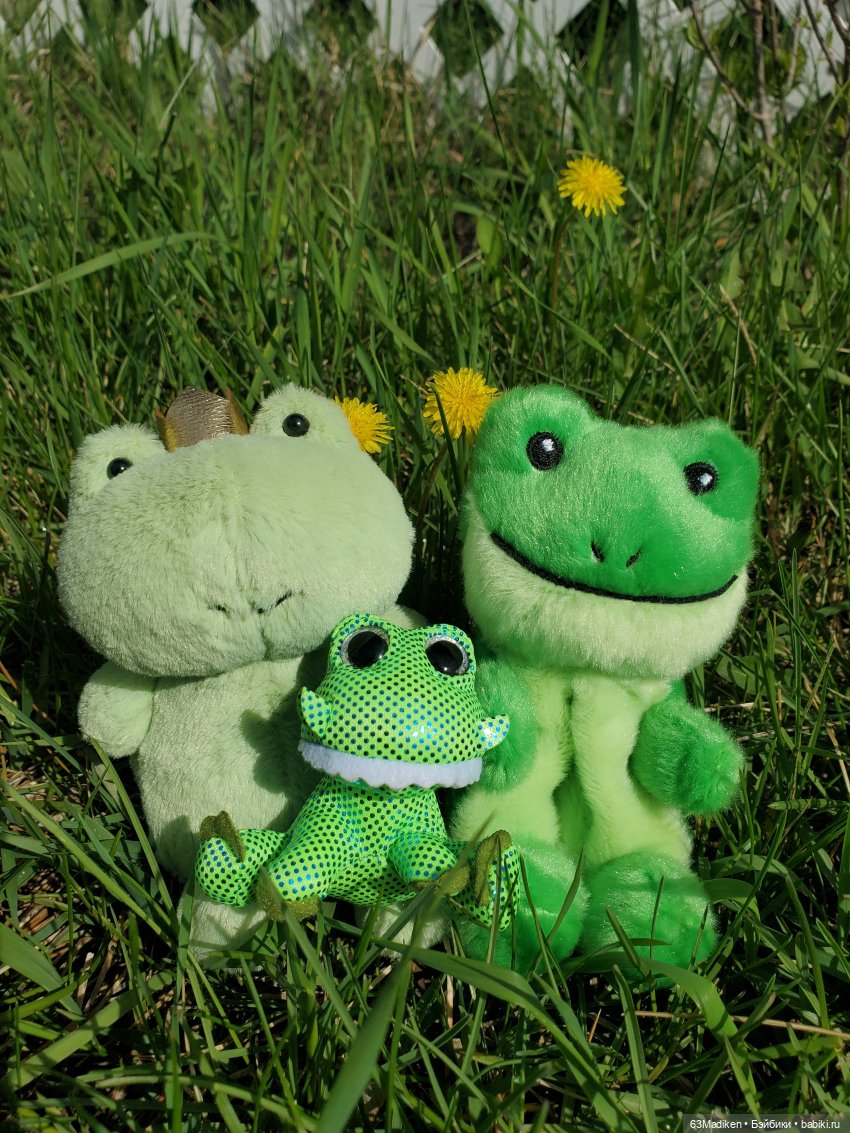 Саши и... стихи про лягушат (фото 6)
