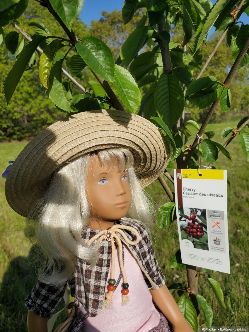 Я садовником родился — Куклы Sasha Morgenthaler (Саша Моргенталер): Trendon (фото 6)