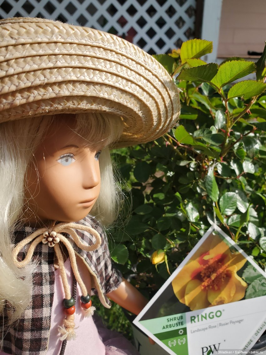 Я садовником родился — Куклы Sasha Morgenthaler (Саша Моргенталер): Trendon (фото 3)