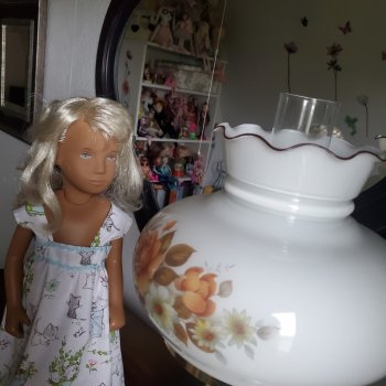 Саша-полуночница