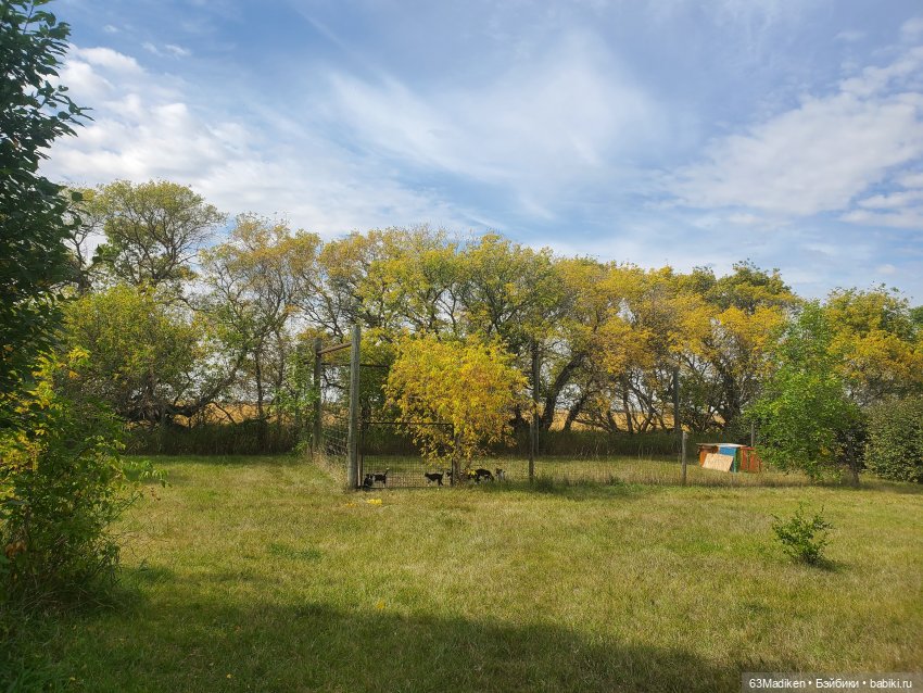 Осенняя зарисовка | Бэйбики Осенняя зарисовка — Куклы Sasha Morgenthaler (Саша Моргенталер): Trendon (фото 5)