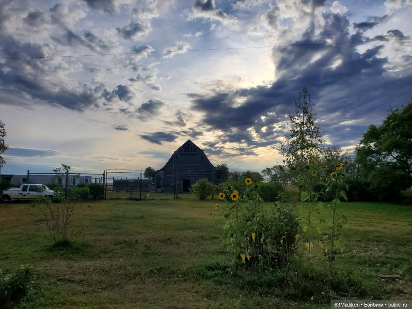 Осенняя зарисовка | Бэйбики Осенняя зарисовка — Куклы Sasha Morgenthaler (Саша Моргенталер): Trendon (фото 7)