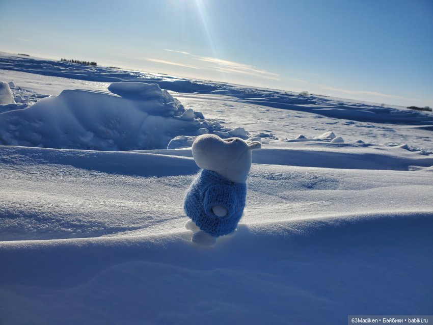 Муми -тролль и Неправильная Весна (фото 4)