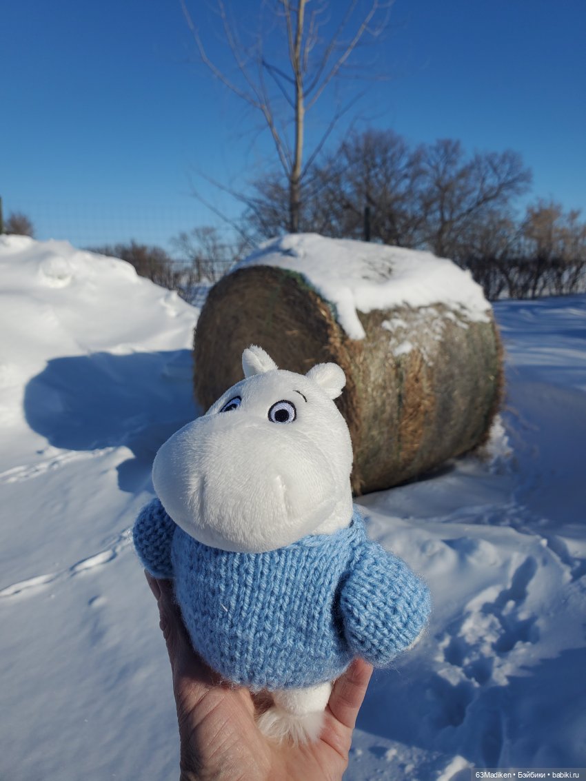 Муми -тролль и Неправильная Весна (фото 6)