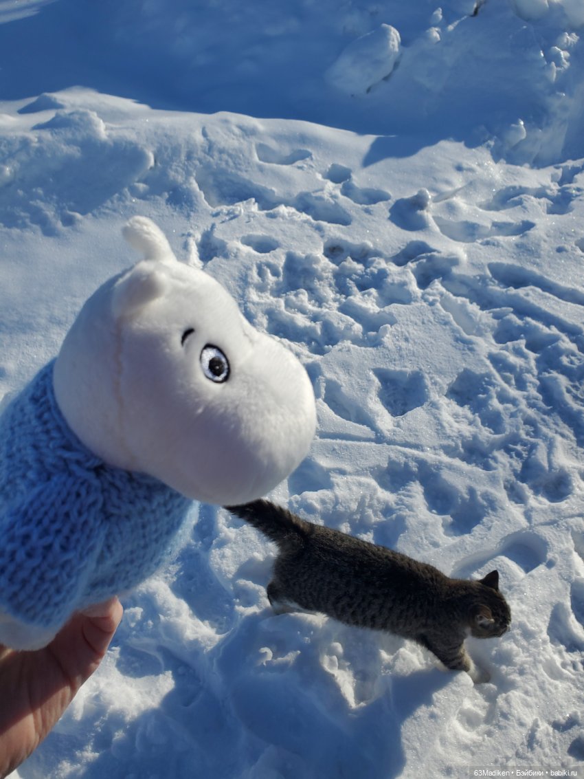 Муми -тролль и Неправильная Весна (фото 8)