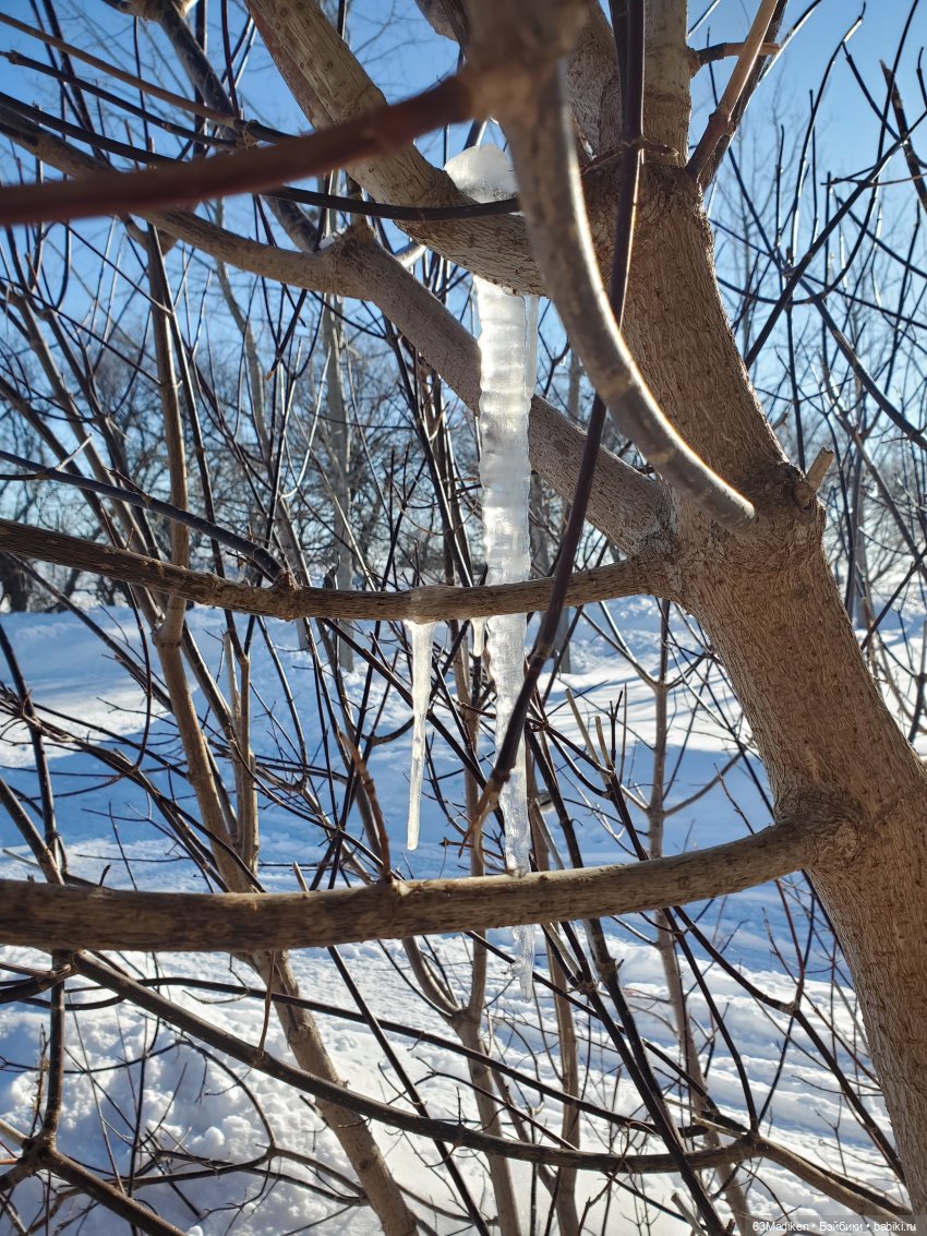 Муми -тролль и Неправильная Весна (фото 9)