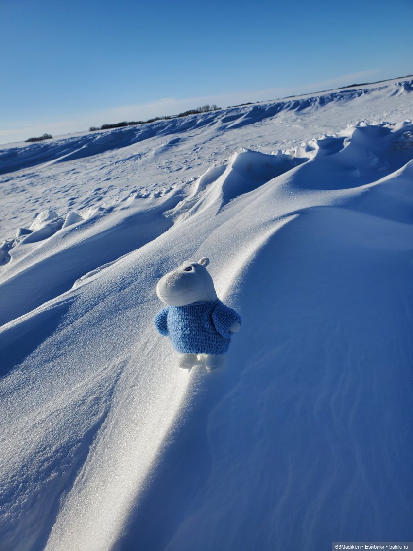 Муми -тролль и Неправильная Весна (фото 5)
