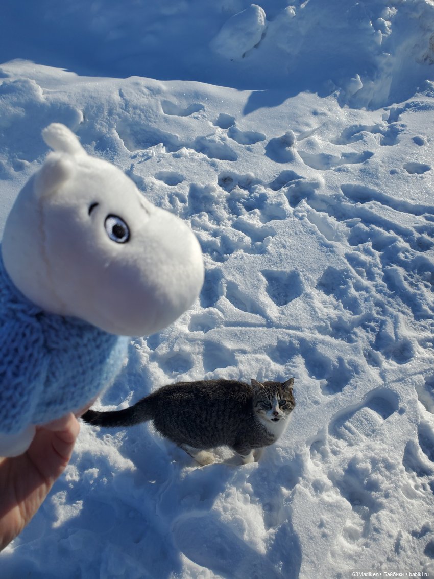 Муми -тролль и Неправильная Весна (фото 7)