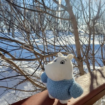 Муми -тролль и Неправильная Весна