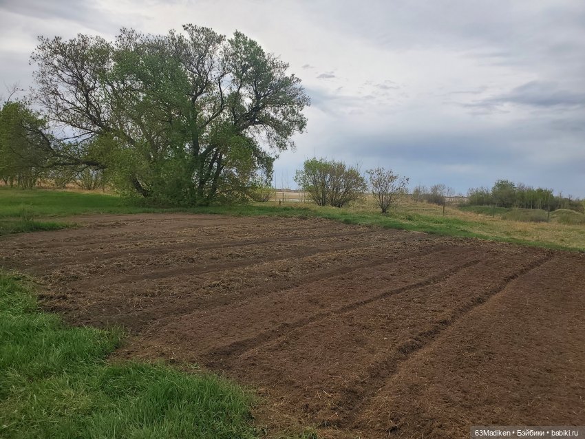 Майский день или Хозяйка усадьбы
