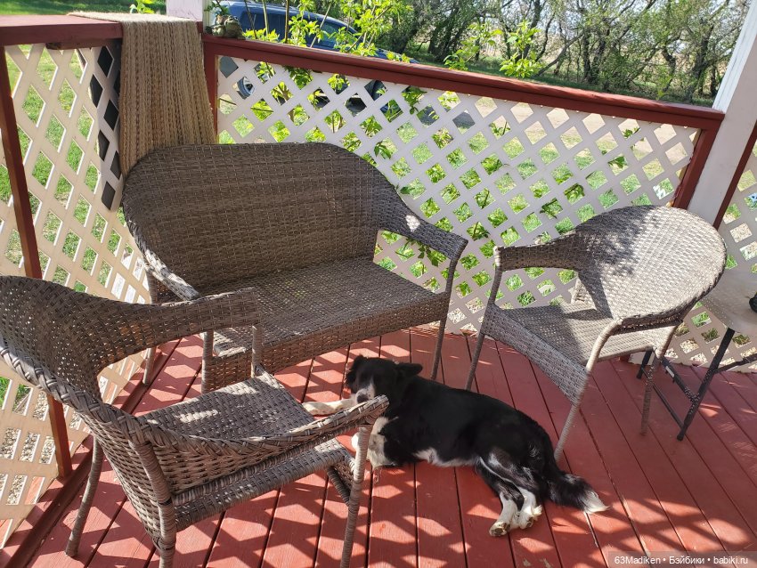 Майский день или Хозяйка усадьбы (фото 4)