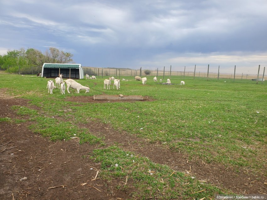 Майский день или Хозяйка усадьбы (фото 8)