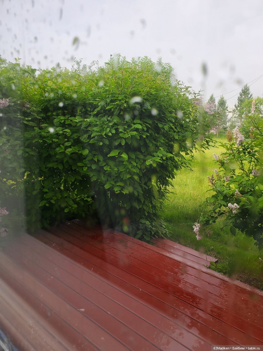 Дождливый день. Поездка в сэконд