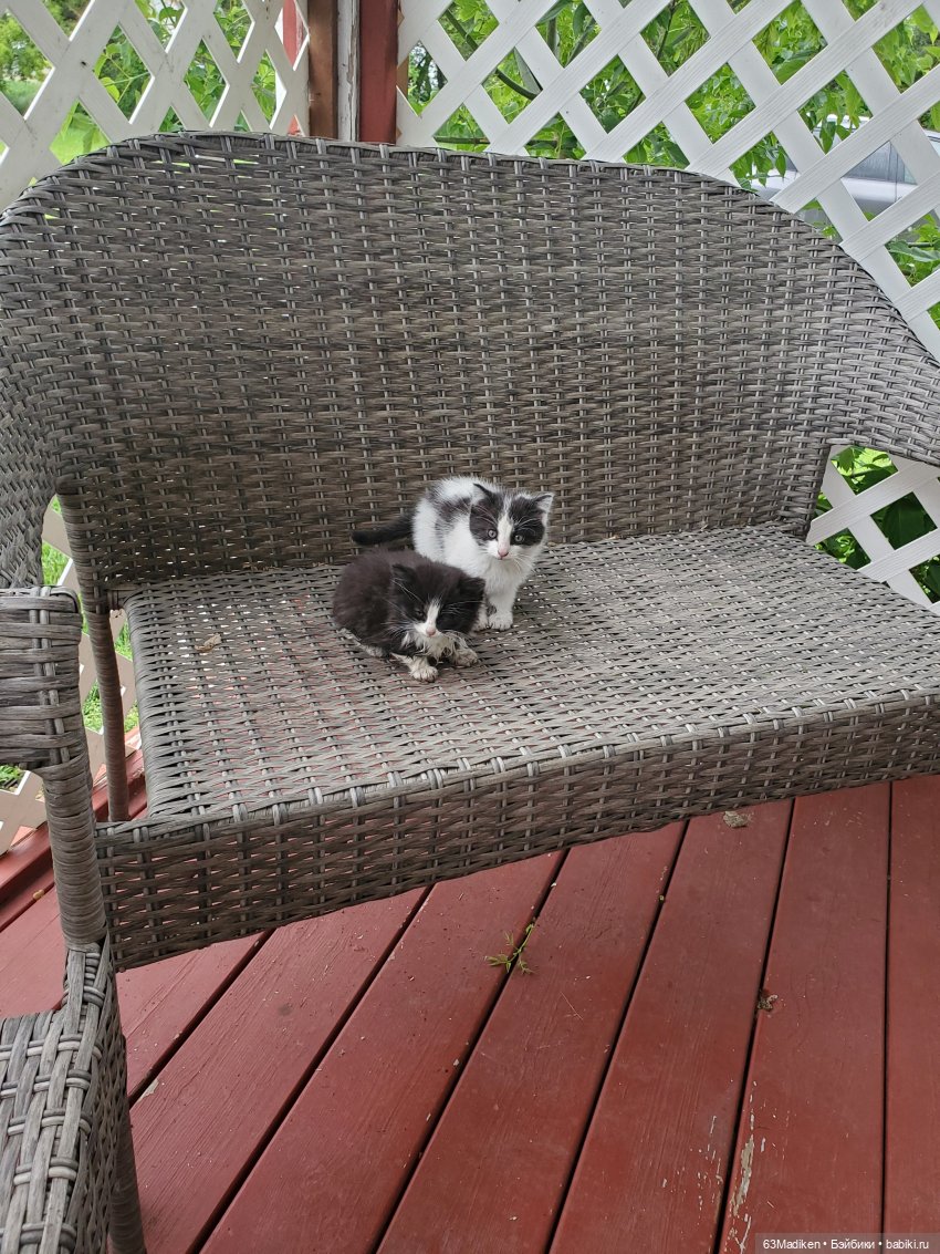 Винтажные куклы ГДР (Немки): Бигги (фото 3)