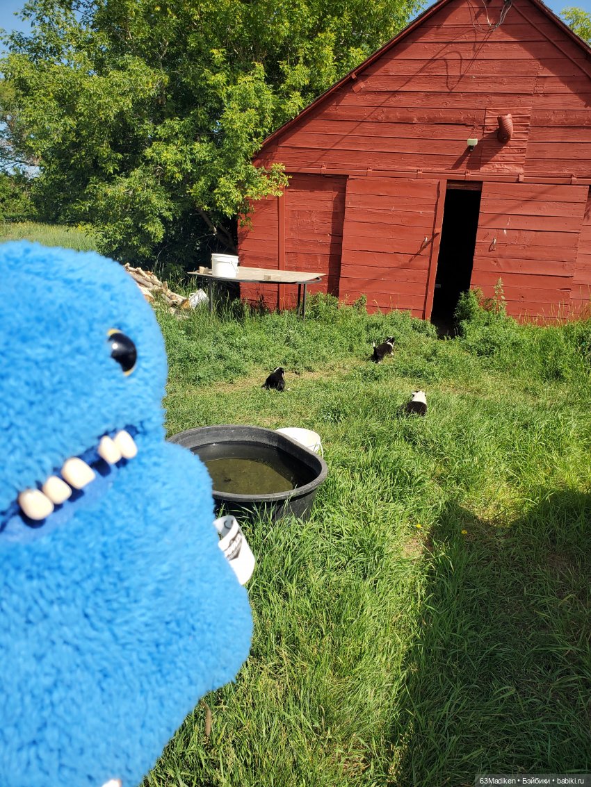 Бродяги — Интересные игрушки и фигурки (разное): редкие (фото 6)